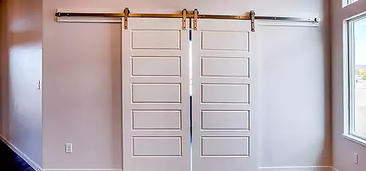 Glass Barn Door with Installation Hardware Kit Providence